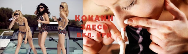 мет Алексин