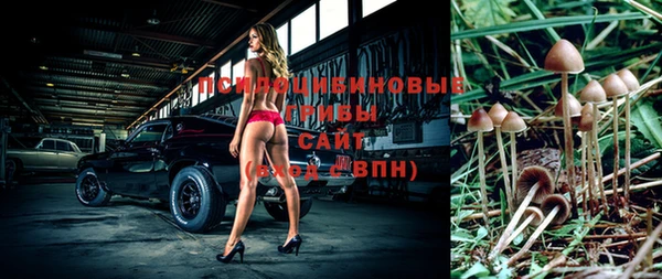 амф Абинск
