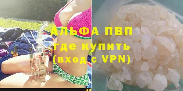 мет Алексин