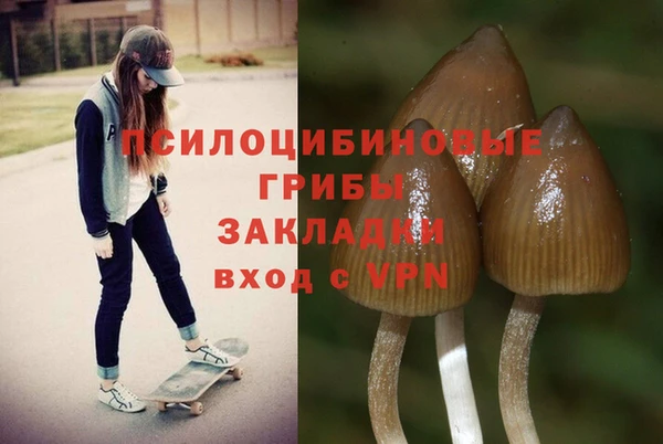 герыч Алексеевка
