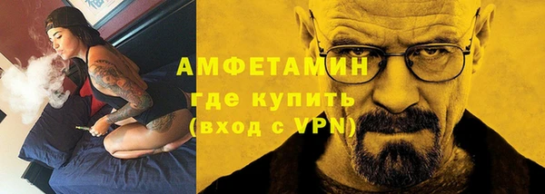 мет Алексин